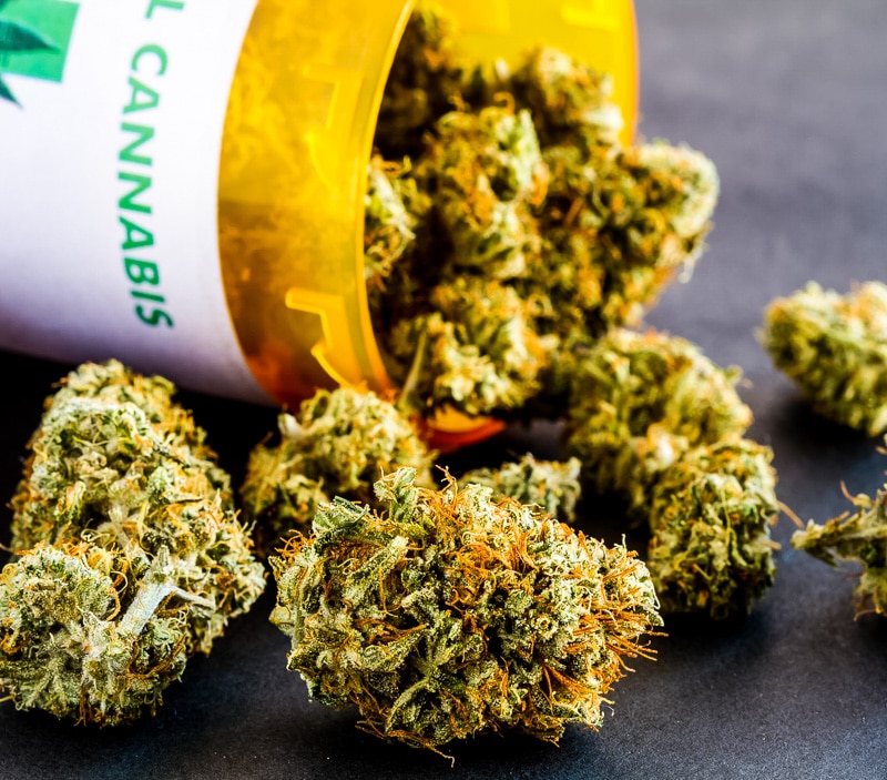medical cannabis cbd buds in a prescription bottle