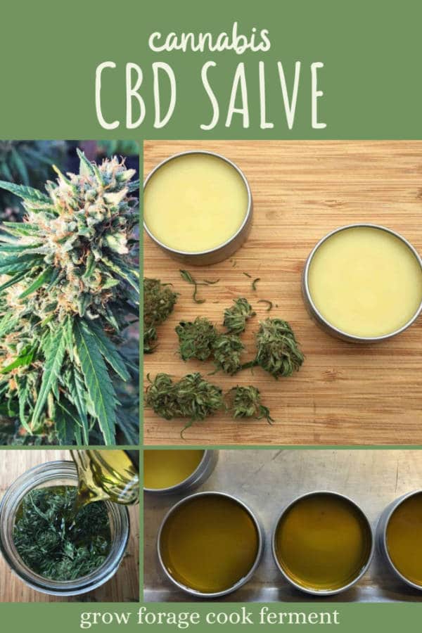 How To Make Cannabis Cbd Salve