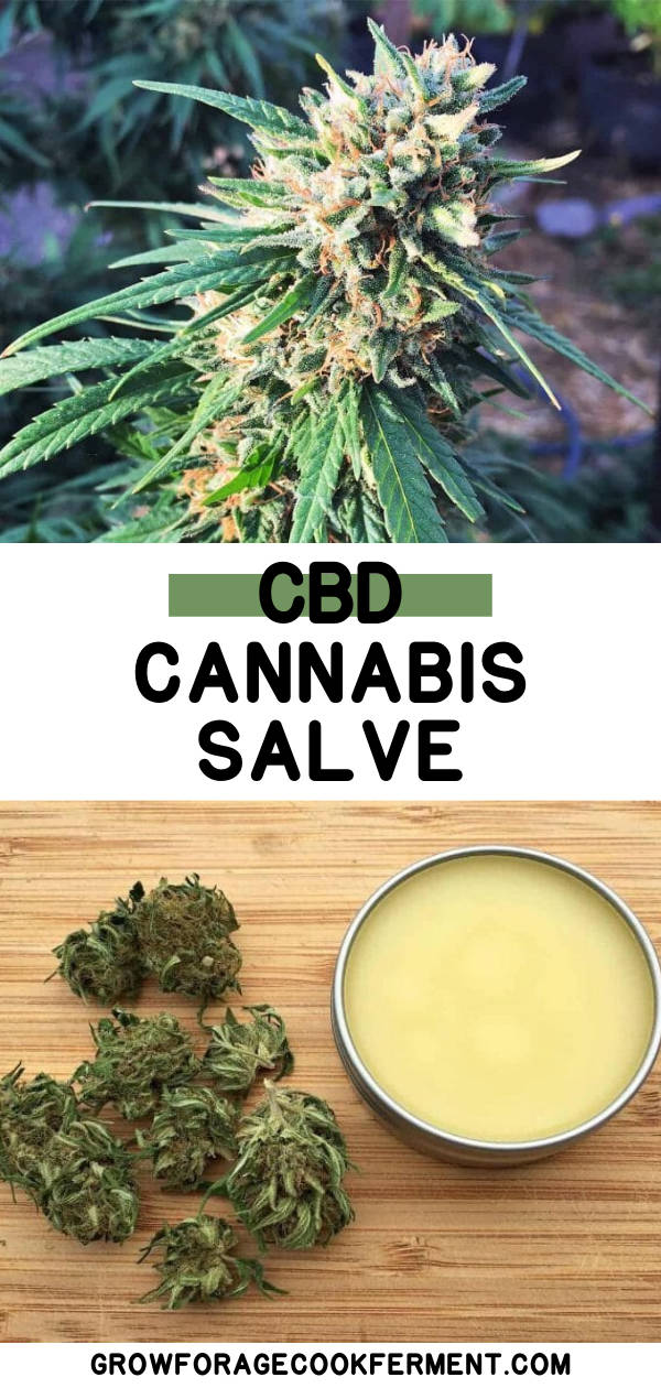 How To Make Cannabis Cbd Salve