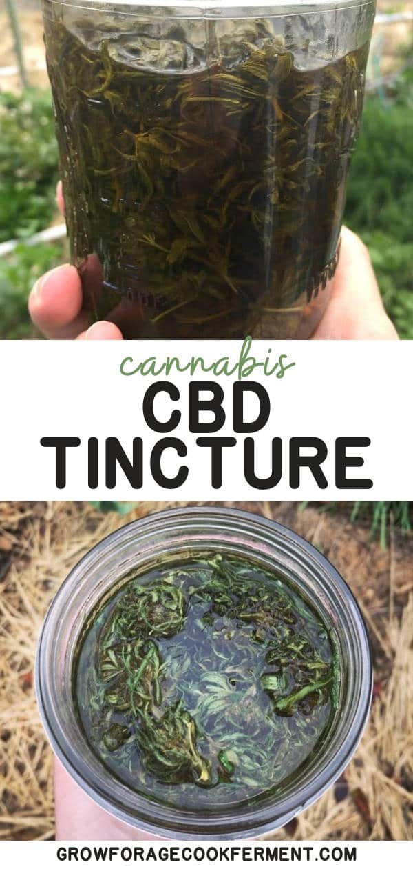 How To Make Cannabis CBD Tincture